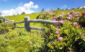 野外风景素材图片下载